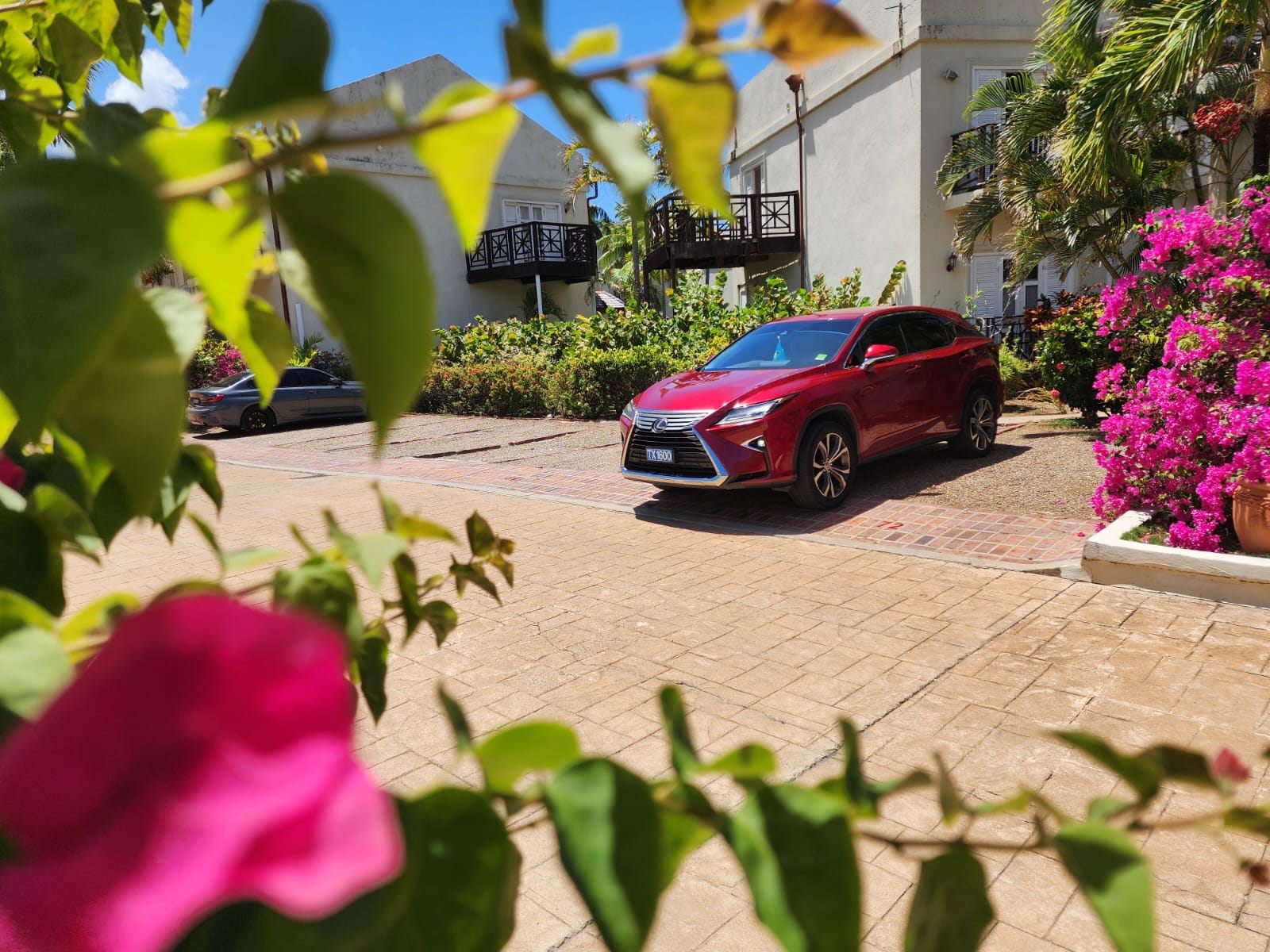 TS Services vehicle framed by tropical bougainvillea flowers
