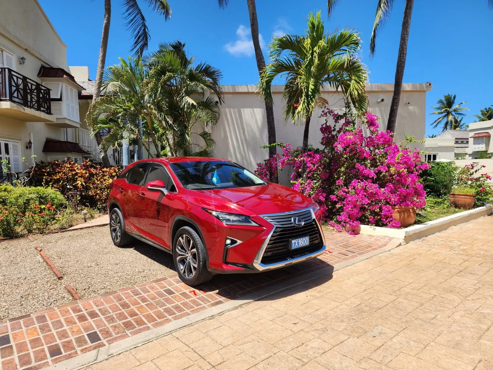 TS Services Lexus RX parked at a tropical villa